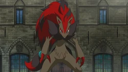 Zora Pokemon Erfindung Wiki Fandom