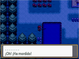 Pescando