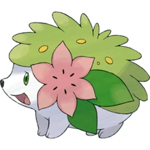 Afbeeldingen Pokemon Pokemonfanfictionnl Wiki Fandom
