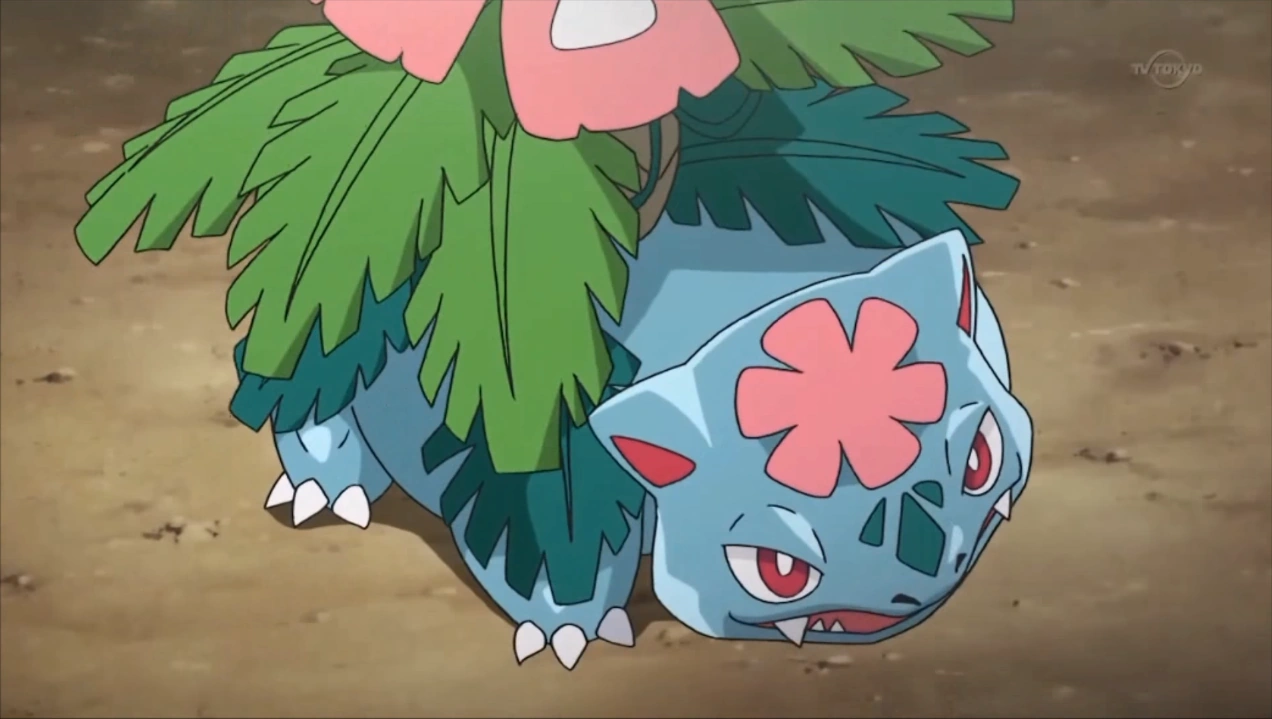 Image Mega Venusaur anime.png PokéFanon FANDOM powered by Wikia