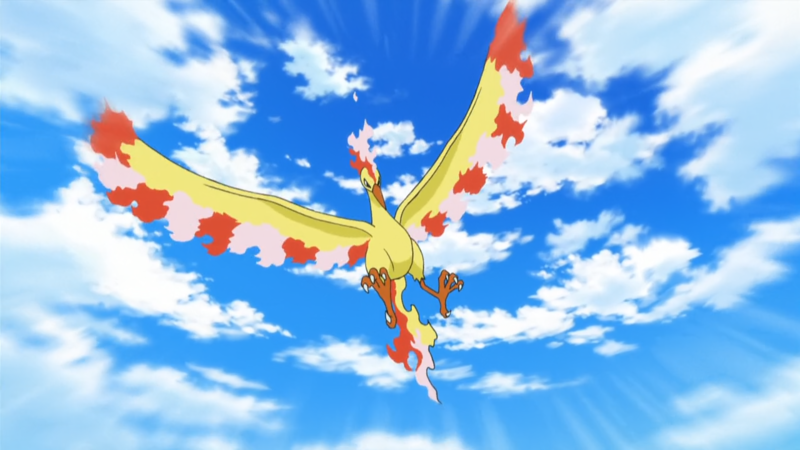 Henrys Moltres Forever Pokéfanon Fandom Powered By Wikia