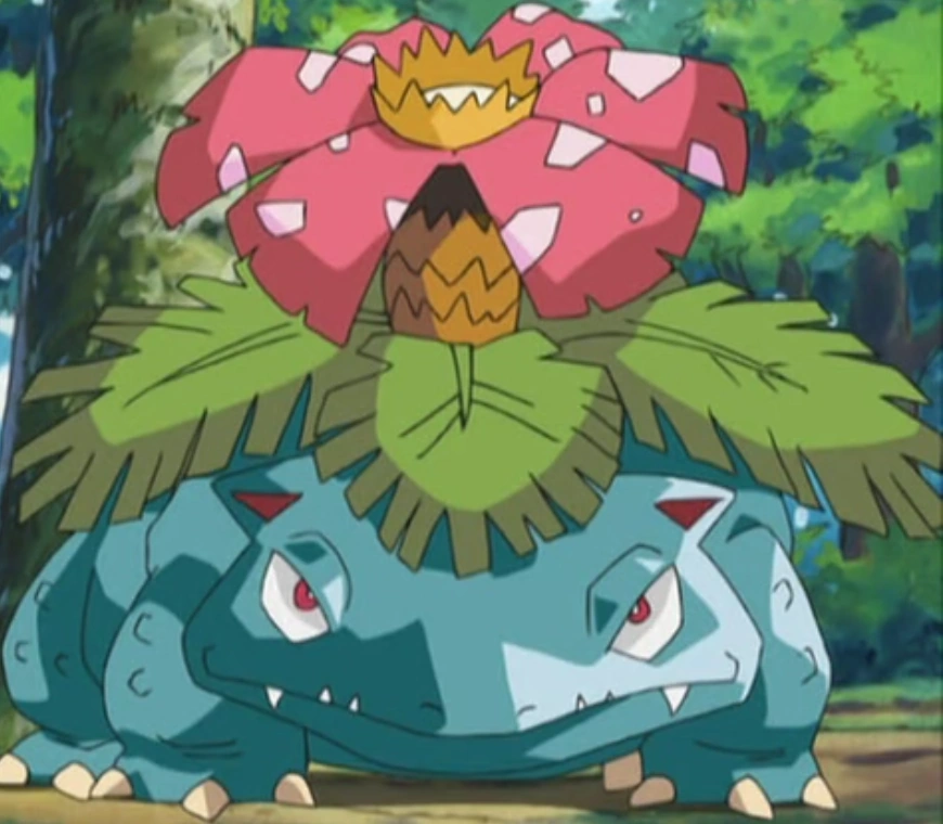 Image Venusaur anime.png PokéFanon FANDOM powered by Wikia
