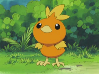 Resultado de imagem para o anime torchic