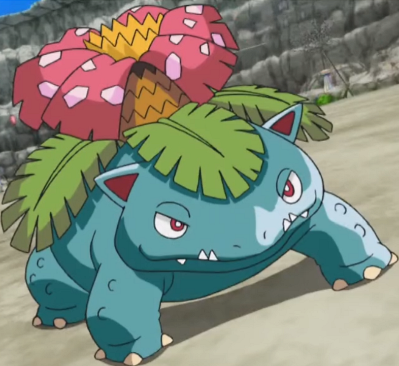 Image - Nihei Venusaur.png 