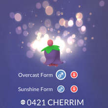 Cherrim Pokemon Go Wiki Fandom