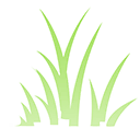 Sighting Grass