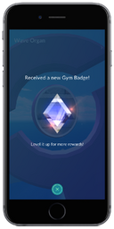 Gym Badge Screenshot