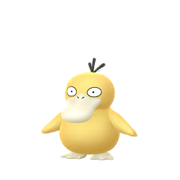 psyduck pokémon go wiki