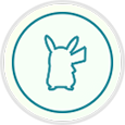 White Button Pokemon