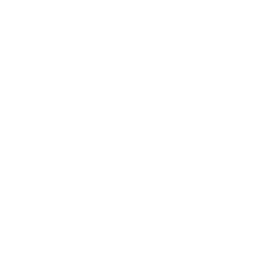 Mp-Icon Research