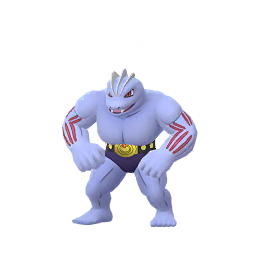 Výsledek obrázku pro machoke