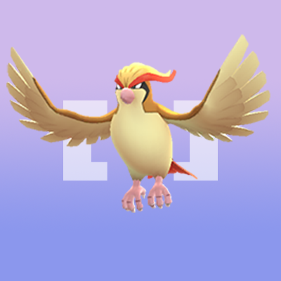 ピジョット Pokemongo Wikia Fandom