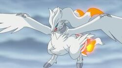 Reshiram w epizodzie