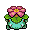 Mały Venusaur
