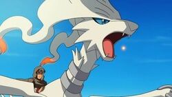 Reshiram Damona