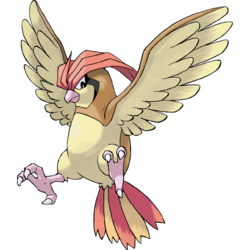 250px-017Pidgeotto