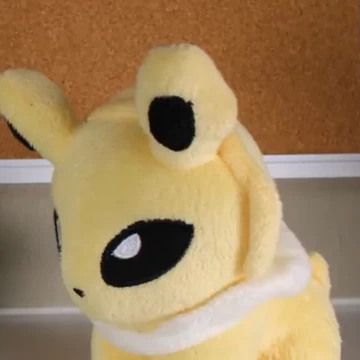 Jolteon Pokemon Talk Wiki Fandom