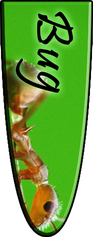 File:Bug-Type2.png