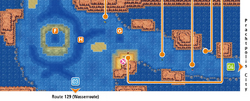 Hoenn Route 128 ORAS