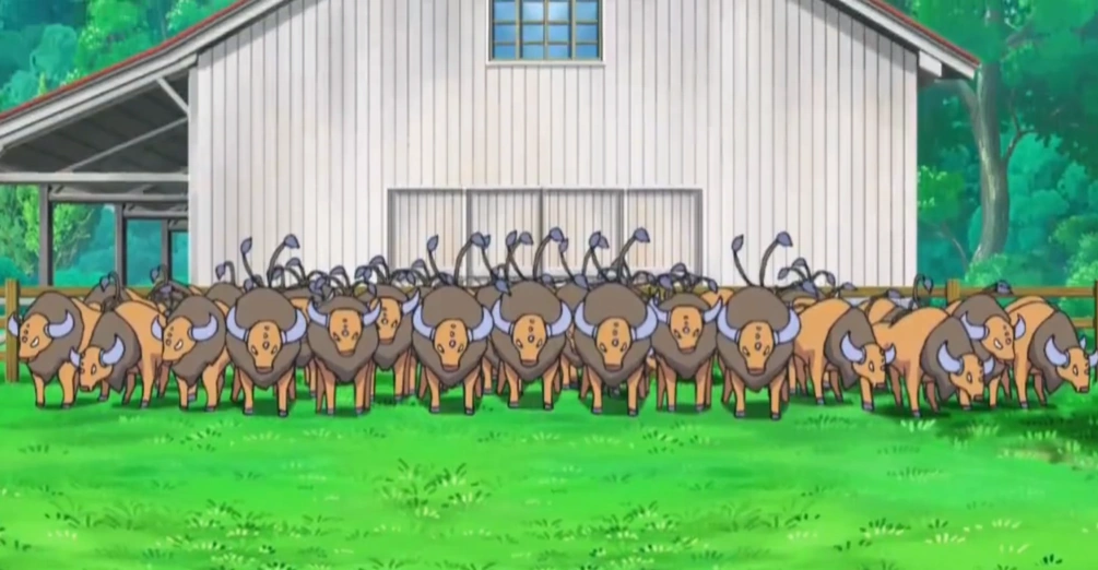 Taurosy Asha Pokémon Wiki FANDOM powered by Wikia