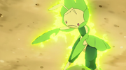 Ash Leavanny Swarm
