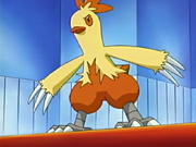 May Combusken