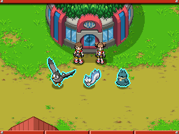 Partner Pokémon SoA