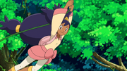 EP661 Iris swinging