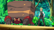 Cilan and Crustle