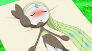 EP747 Meloetta fever