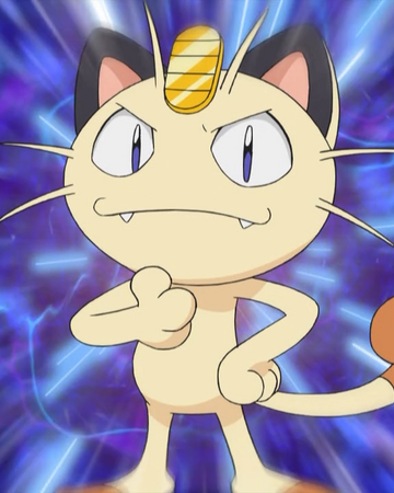 Meowth Zespol R Pokemon Wiki Fandom