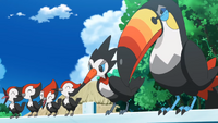 Toucannon flock