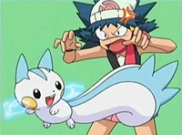 Dawn and Pachirisu