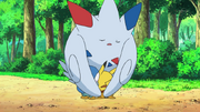 EP660 Togekiss motherly