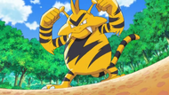 Electabuzz Paula
