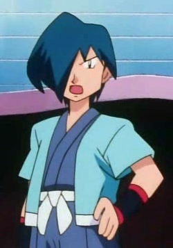 Resultado de imagem para falkner anime pokemon