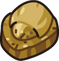 Domefossil