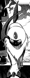 Koya Absol