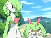 Izabe Island Kirlia Gardevoir