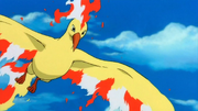 Moltres M02
