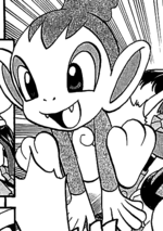 Chimler Chimchar