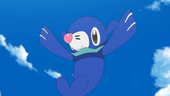 Popplio de Vitória em anime Sun e Moon