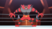 Incineroar do Professor Nogueira no anime Sun e Moon