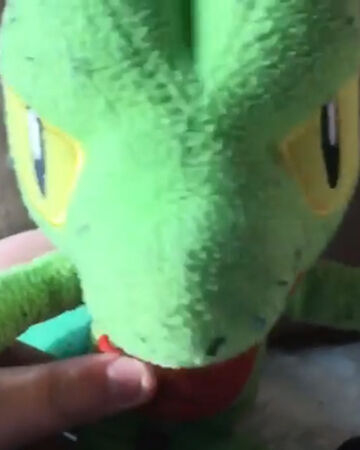 pokemon plush adventures