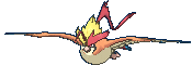 018 pidgeot mega