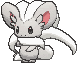 573 cinccino