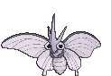 Venomoth