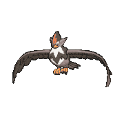 398 staraptor