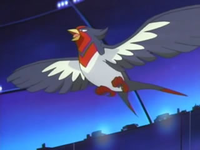 Swellow de Jose