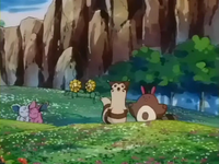 Valle pokémon